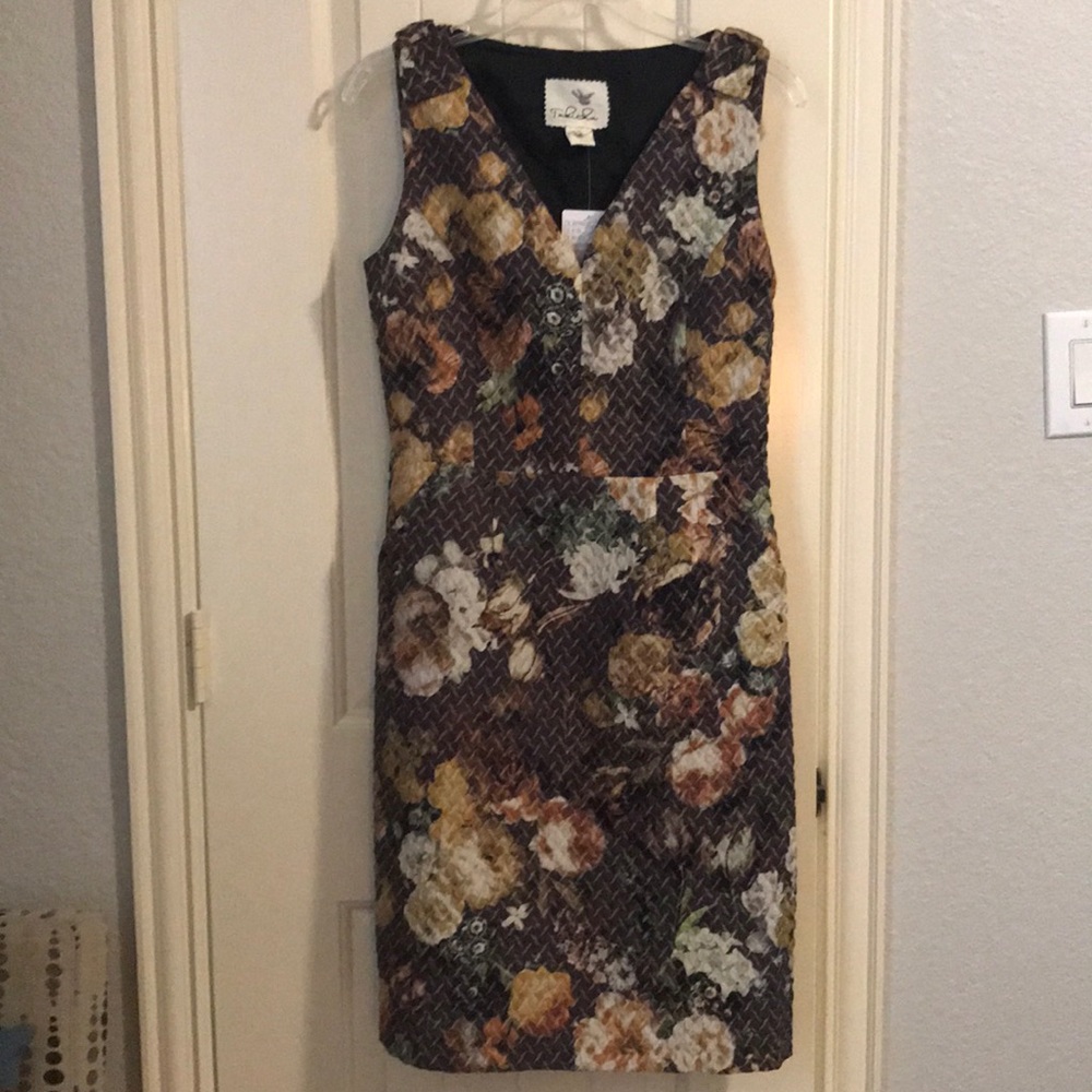 Anthropologie Tabitha Dress NWT
